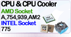 CPU & Cooler